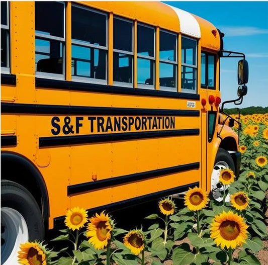 Point to point rides (local trips)